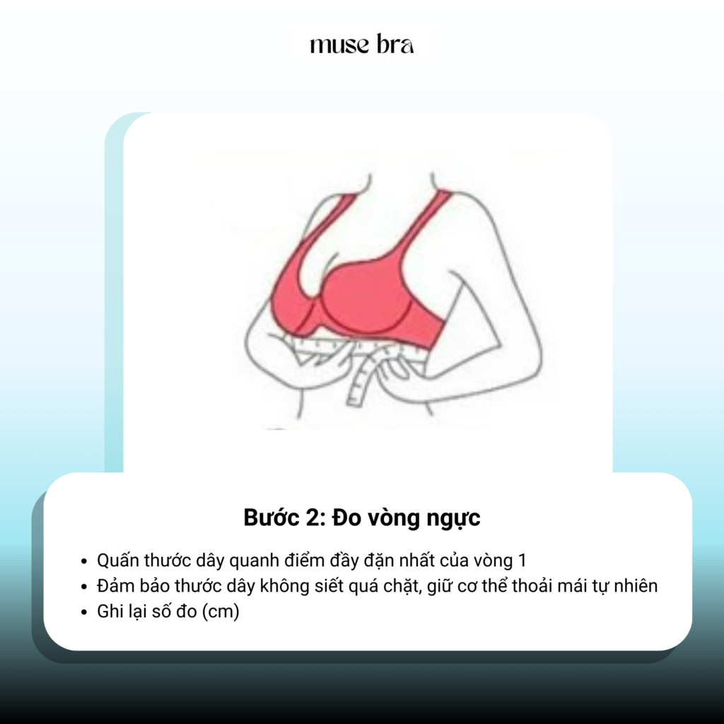 Hướng dẫn đo kích cỡ vòng ngực