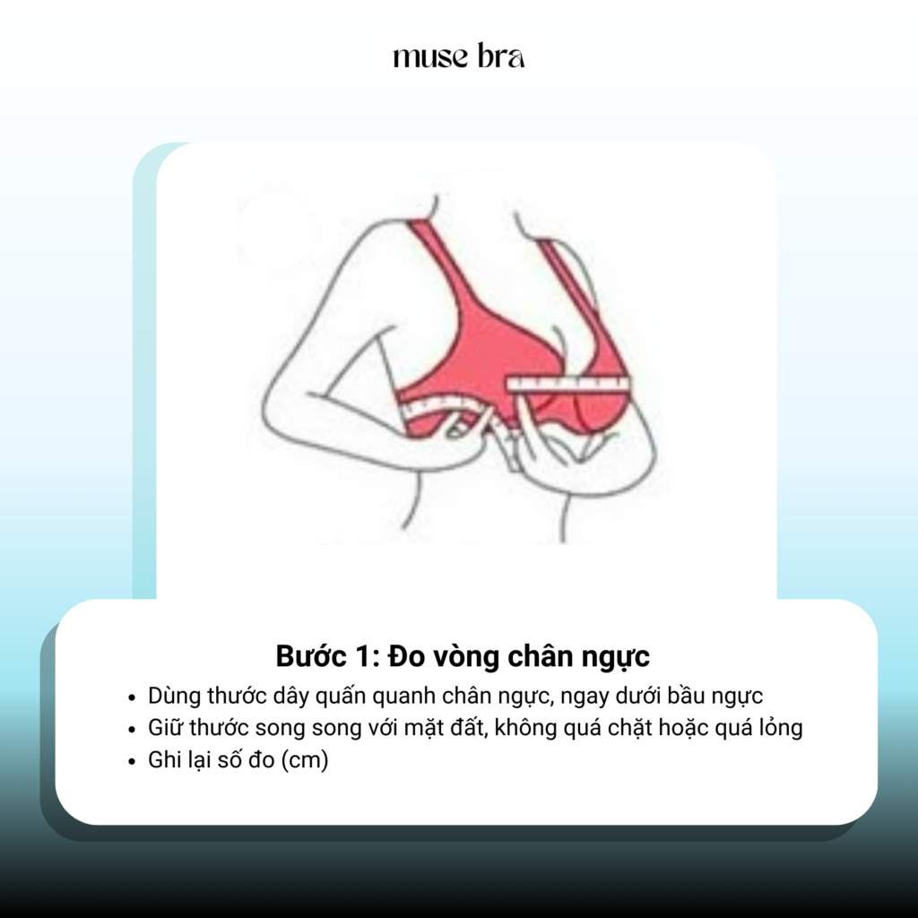 Đo chân ngực