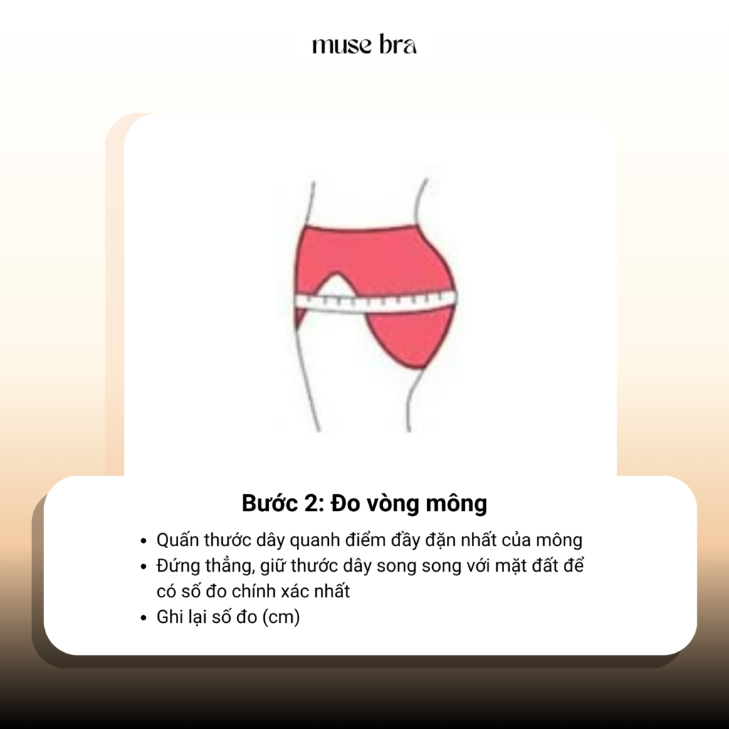 Đo vòng mông