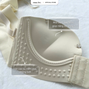 Mút đệm dày 5cm